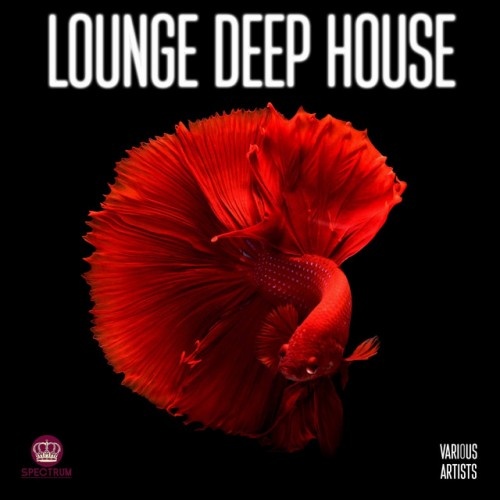 VA - Lounge Deep House (2017)