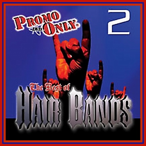 VA - Promo only best of hair bands vol.2 (2006)