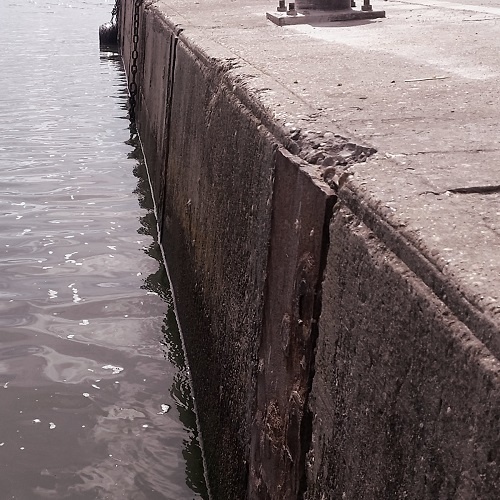 Doxophobia - Halebites (2017)