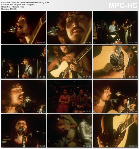 The Cats - Where Have I Been Wrong (1970)