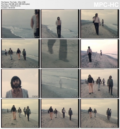 The Cats - Why (1969)