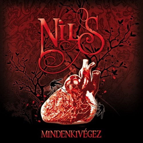 Nils - Mindenkivegez (2010) Lossless+mp3
