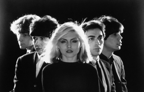 Blondie - Pollinator 2017