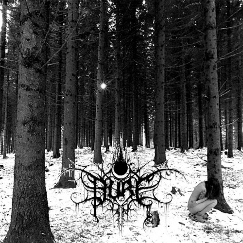 Pure - J'aurais D&#251; (2017)