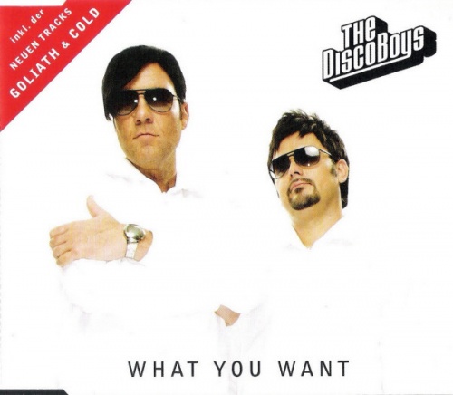 The Disco Boys - What You Want (CD, Maxi-Single) 2007 (Lossless)