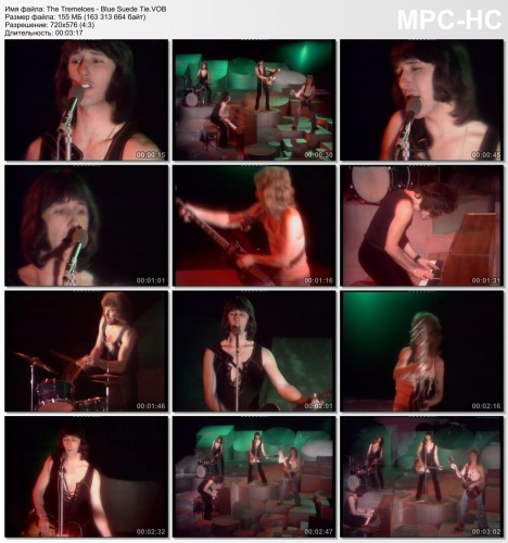 The Tremeloes - Blue Suede Tie (1973)