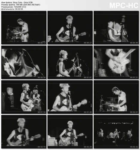 Stray Cats - Gina (1989)