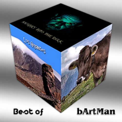 bArtMan - Best of bArtMan(2015)