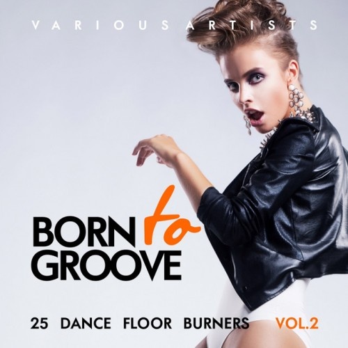 VA - Born To Groove: 25 Dance Floor Burners Vol.2 (2017)