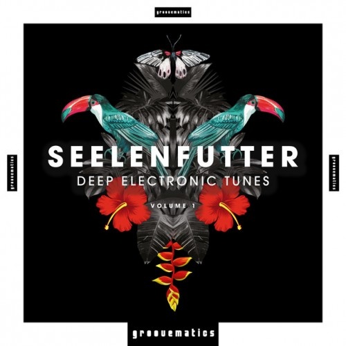 VA - SeelenFutter Deep Electronic Tunes Vol.1 (2017)