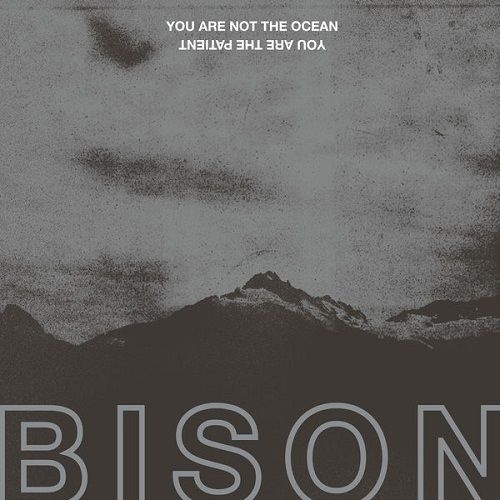 Bison - You Are Not The Ocean You Are The Patient (2017)