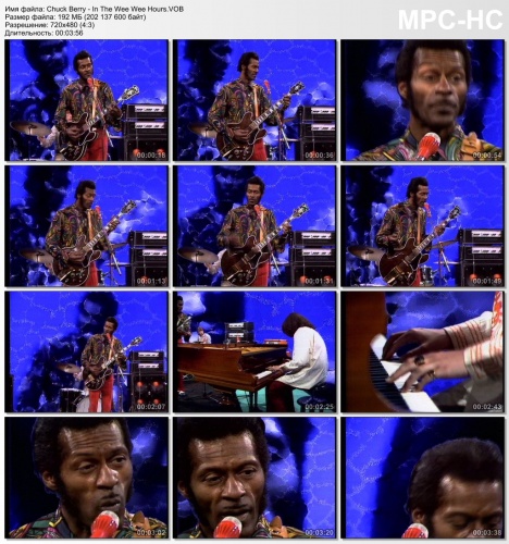 Chuck Berry - In The Wee Wee Hours (1972)