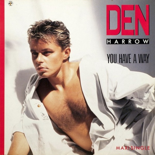 Den Harrow - You Have A Way (Vinyl, 12'') 1988 (Lossless)