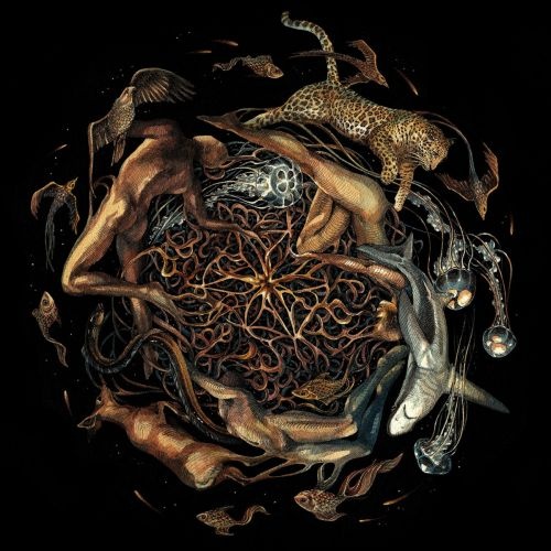 Selcouth - Heart Is The Star Of Chaos (2017)