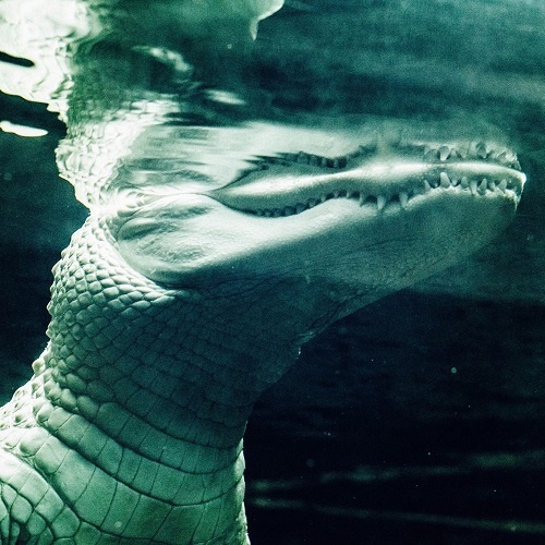 Ancient Methods - The Asking Breath Comes To Each (2017) EP