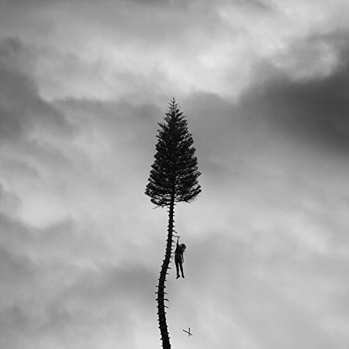 Manchester Orchestra  A Black Mile To The Surface (2017)