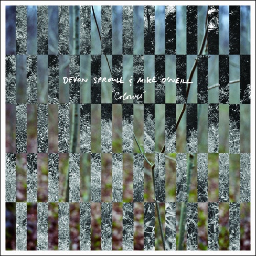Devon Sproule & Mike O'Neill - Colours (2013)