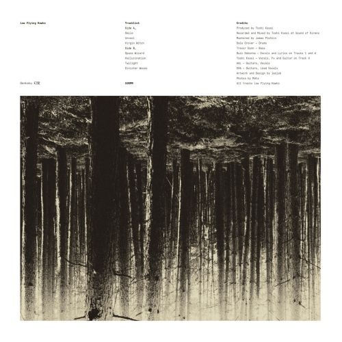 Low Flying Hawks - Genkaku (2017)