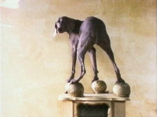 VA - 101 Best Videoclips.vol.3 (2004)