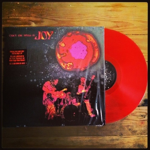 Joy - Under The Spell Of Joy 2014