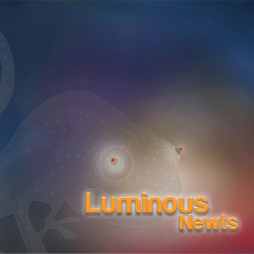 Luminous Newts - Luminous Newts 2015