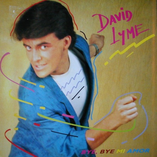 David Lyme - Bye, Bye Mi Amor (Vinyl, 12'') 1987
