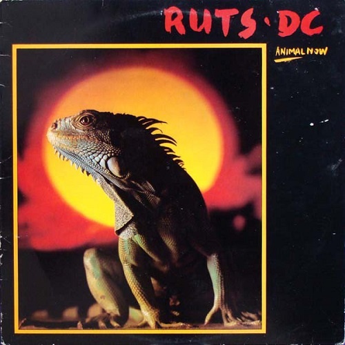 Ruts DC - Animal Now (1981)