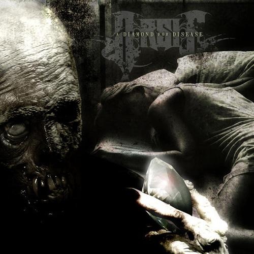 Arsis - Discography (2004-2013) Lossless+mp3