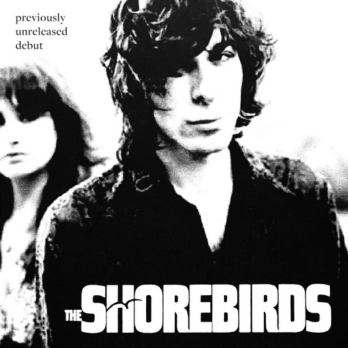 The Shorebirds - Previously Unreleased Debut (2017) Lossless + mp3