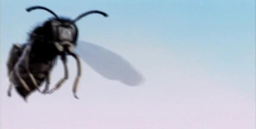 Underworld  Videography 1993-2010 (2011)