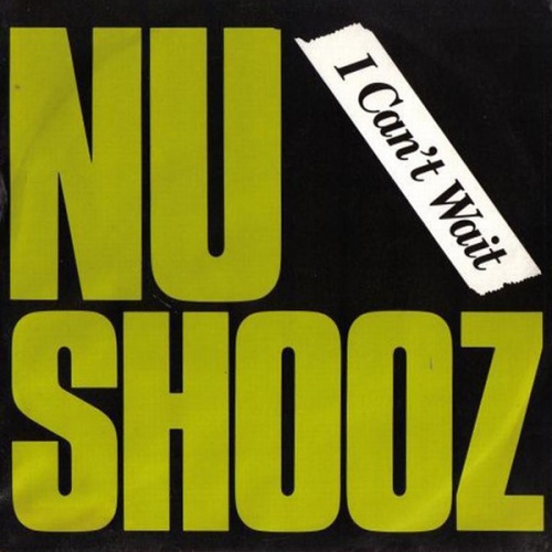Nu Shooz - I Can't Wait (Vinyl,12'') 1986 (Lossless)