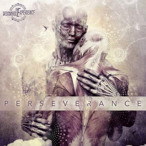 The Wormhole Experience - Perseverance (2017)