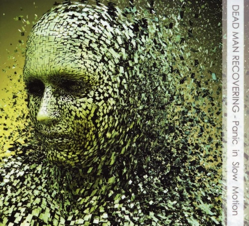 Dead Man Recovering - Panic In Slow Motion (2017) (Lossless)