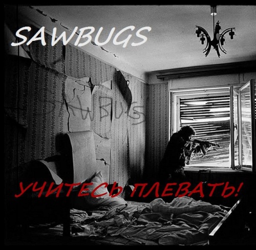      SAW BUGS