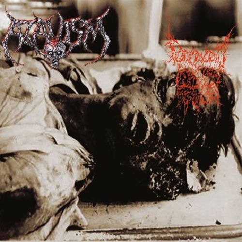Atavism & Decrepit Artery - Atavism - Decrepit Artery (Split) 2011