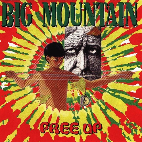 Big Mountain - Free Up (1997) (lossless + MP3)