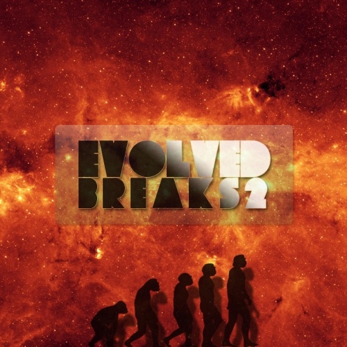 VA - Evolved Breaks 2 (2011)