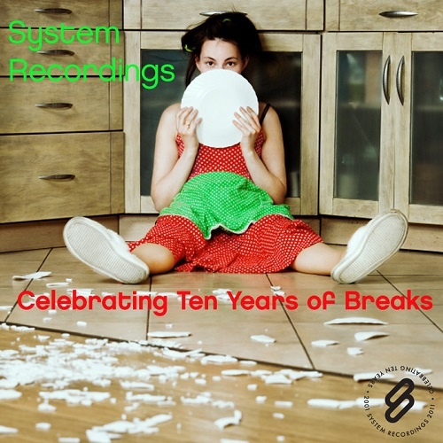 VA - Celebrating Ten Years Of Breaks (2011)