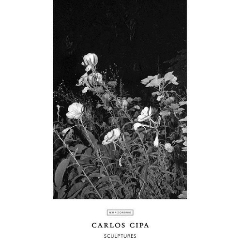 Carlos Cipa - Sculptures (2017)