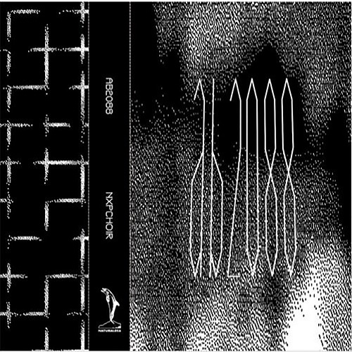 AB2088 - NXPCHOIR (2017)