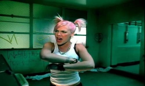 Pink  Videography 1999-2010 (2010) DVDRip