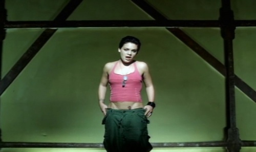 Pink  Videography 1999-2010 (2010) DVDRip