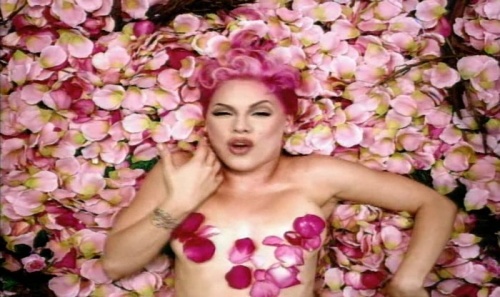 Pink  Videography 1999-2010 (2010) DVDRip