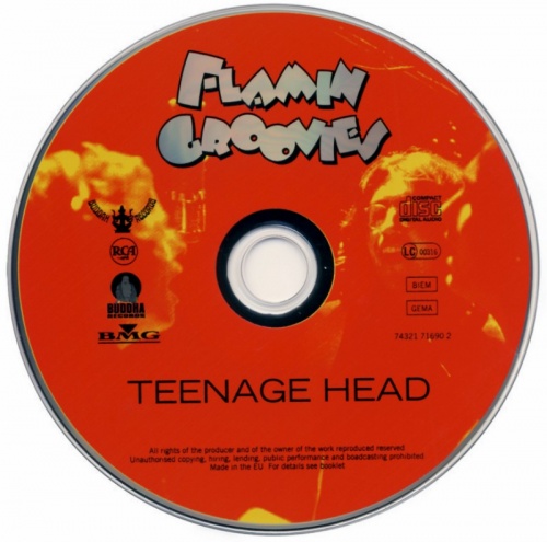 Flamin Groovies - Teenage Head (1971) (1999) Lossless