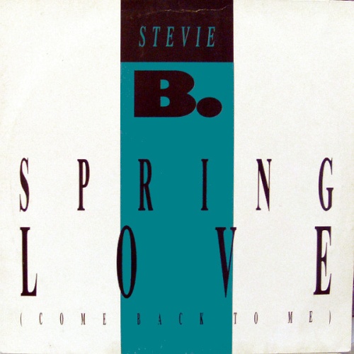 Stevie B. - Spring Love (Come Back To Me) (Vinyl,12'') 1988