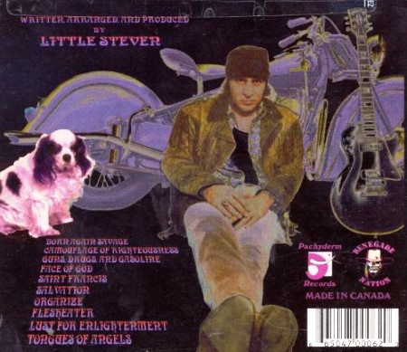 Little Steven - Born Again Savage (1999) Lossless