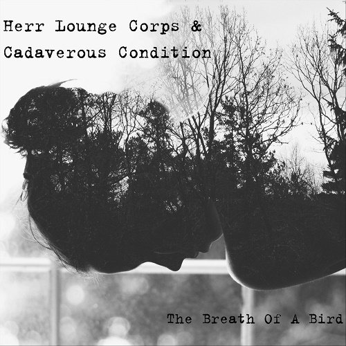 Herr Lounge Corps & Cadaverous Condition - The Breath of a Bird Collaboration) 2018