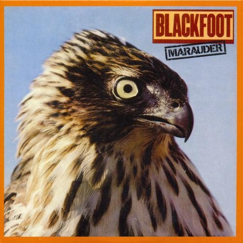 Blackfoot - Original Album Series [5CD] (2013) [Lossless]