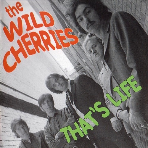 Wild Cherries - Thats Life 1965-68 (2007)