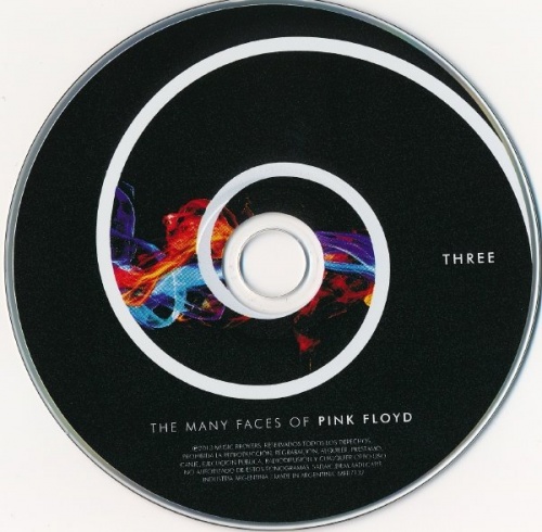 VA - The Many Faces of Pink Folyd: A Journey Through the Inner World of Pink Floyd  (2013)(Lossless+MP3)